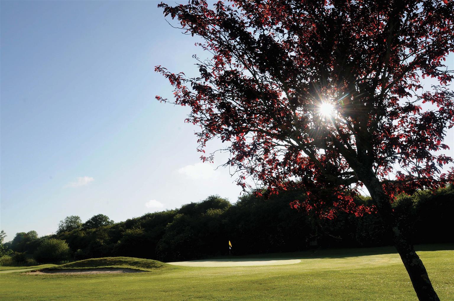 Best Western Plus Ullesthorpe Court Hotel & Golf Club Lutterworth Servizi foto